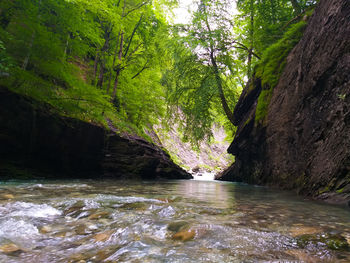 Stream flowing through rocks in forest