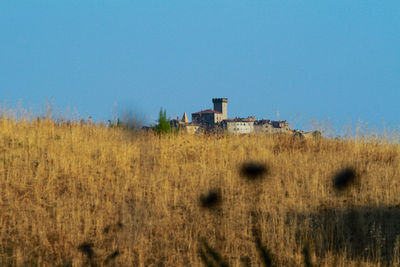 Abandoned building on field against clear blue sky