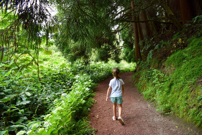 Rear view of woman walking on footpath in forest