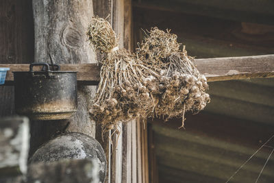 Close-up of cross tied on wood against wall