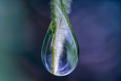 Close-up of bubbles in water