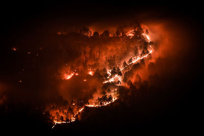 Forest burning in night