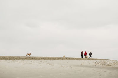 People riding horse on sand against sky