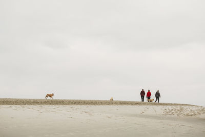 Family with dogs walking along sandy beach on overcast winter day