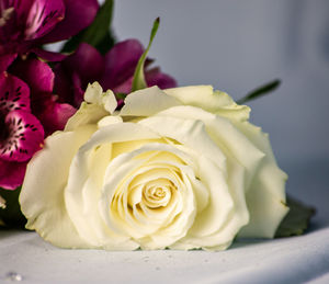 Close-up of rose bouquet