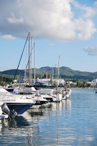 Sailboats moored in harbor