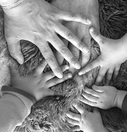 Close-up of hands on carpet