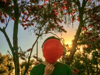 Man holding red balloon against flowering trees and sunset sky.