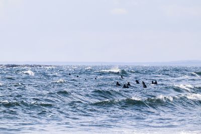 View of surfers swimming in sea
