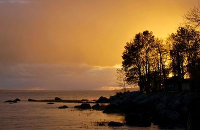 Scenic view of sea at sunset