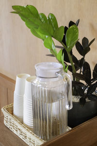 Close-up of potted plant on table