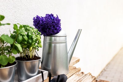 Close-up of purple flower pot on table against wall