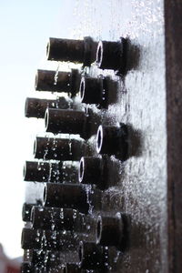 Close-up of ice cream against wall