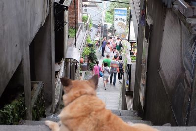 Close-up of narrow alley along street