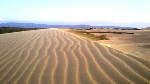 Scenic view of desert