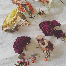 Close-up of flowers