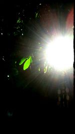 Low angle view of bright sun