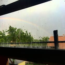 Rain drops on glass window