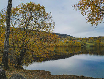 Trees by lake against sky during autumn