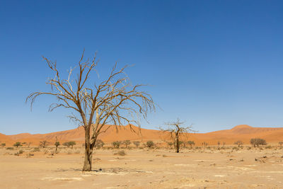 Scenic view of desert against clear blue sky