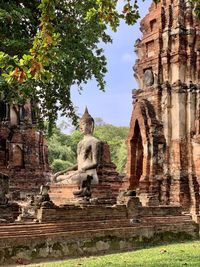 View of buddha statue against trees