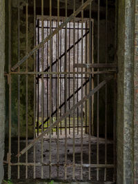 Window of old building