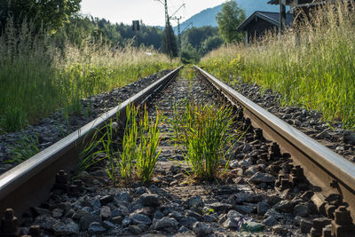 Surface level of railroad track