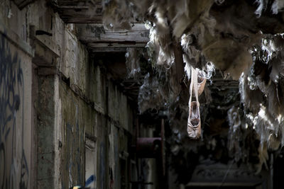 Low angle view of icicles hanging on wall