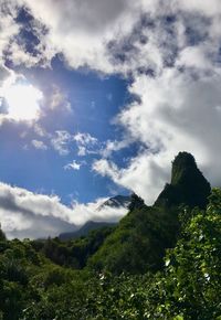 Low angle view of trees and mountains against sky