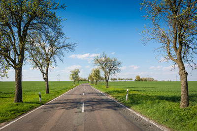 Empty road amidst trees on field against sky