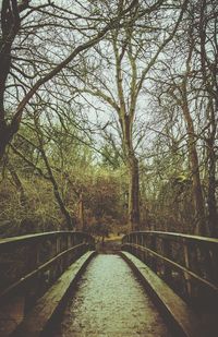 Bridge over river in forest