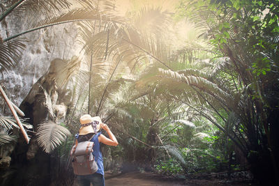 Rear view of female hiker standing in forest