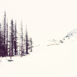 Scenic view of snow covered landscape