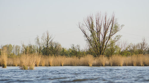 Scenic view of lake against clear sky