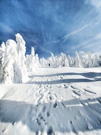 Snow covered landscape against blue sky