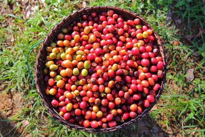 Fresh coffee beans in a basket