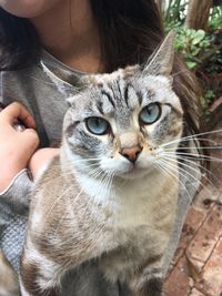 Close-up portrait of cat with eyes closed