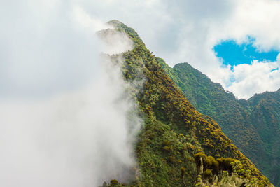 Mountain landscapes at mount sabyinyo in the mgahinga gorilla national park, virungas region, uganda