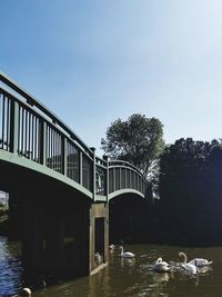 Bridge over river against sky