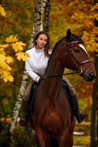 Horse standing outdoors