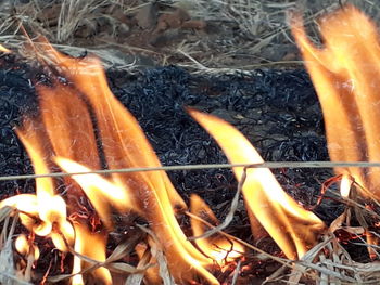 High angle view of bonfire on wooden log