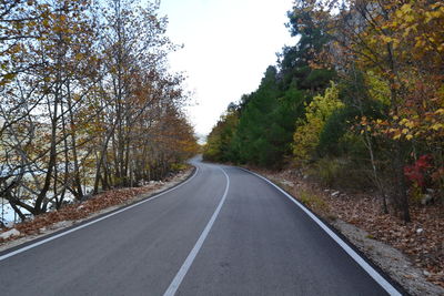 Empty road along trees