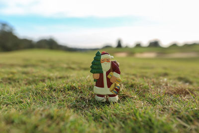 Close-up of toy on field