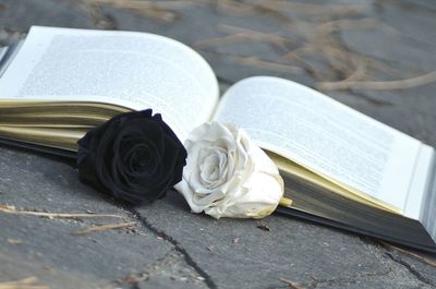 Close-up of roses and book on road