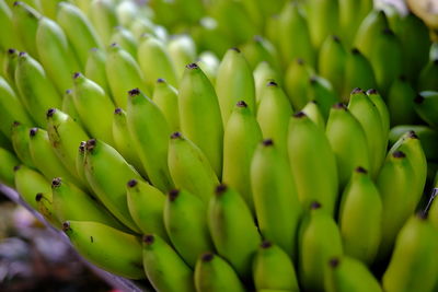 Close-up of bananas at market for sale
