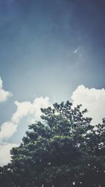 Low angle view of trees against blue sky