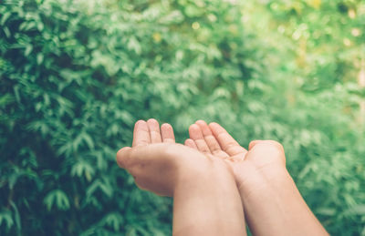 Close-up of human hand against plants