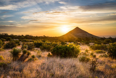 Scenic view of landscape during sunset in guadalupe mountain national park - texas