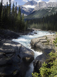 River flowing through rocks in forest