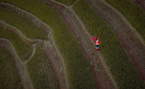 Aerial view of woman wearing traditional clothing standing in farm